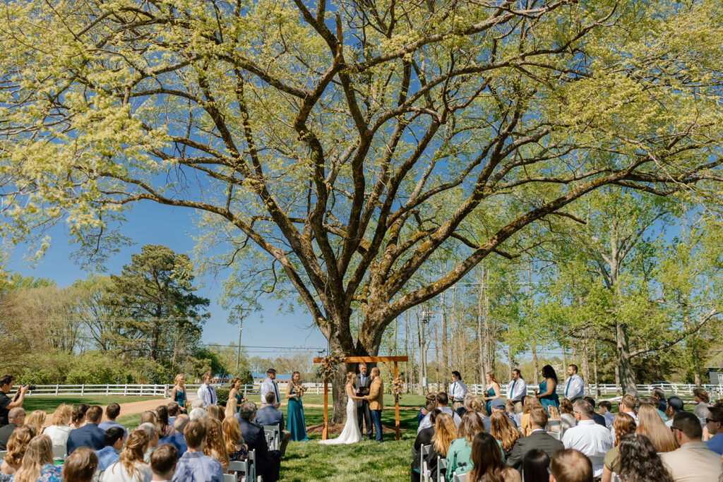 Culpepper barn wedding ceremony under a giant oak tree